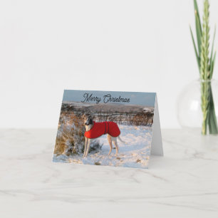 Greyhound kerstkaart - Blauw met rood jasje Kaart