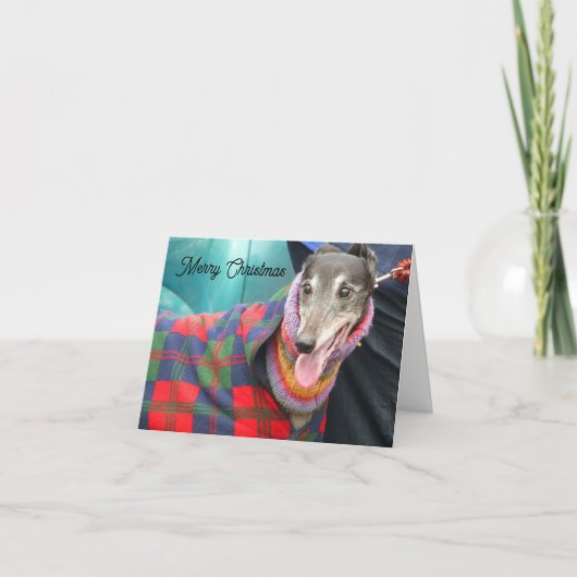 Greyhound kerstkaart met een smokkeljasje kaart (Voorkant)