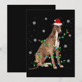 greyhound kerstlicht schattige kerstman greyhound kaart (Voorkant / Achterkant)