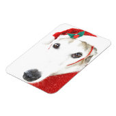 Greyhound Kerstmagneet - Voor het goede doel Magneet (Linkerzijde)