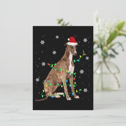 greyhound kerstverlichting schattige sint greyhoun kaart (Staand voorkant)