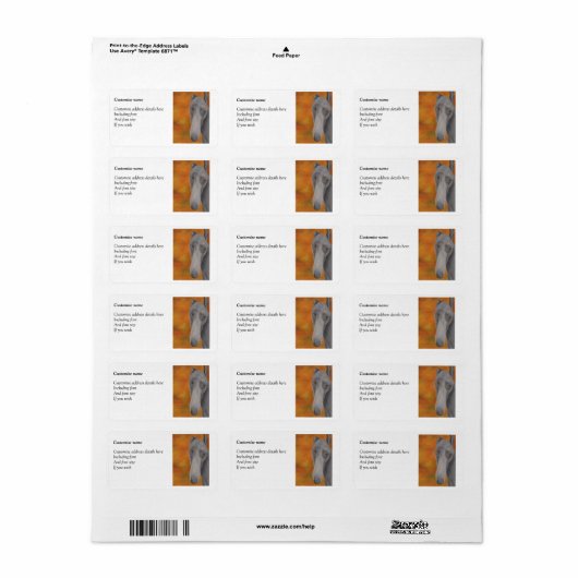 Greyhound labels (a275) (Full Sheet)