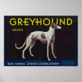 Greyhound Lemon LabelSan Dimas, CA Poster (Voorkant)