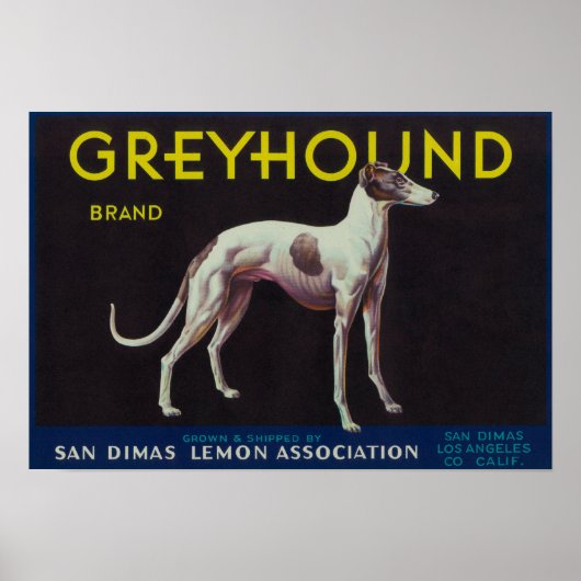 Greyhound Lemon LabelSan Dimas, CA Poster (Voorkant)