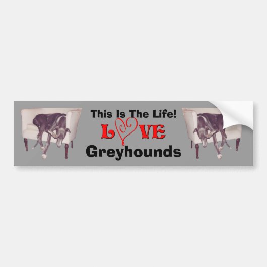 Greyhound Liefde Dit Is Het Leven Leuk Bumpersticker (Voorkant)