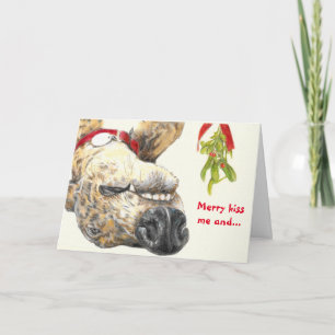 Greyhound liefhebbers kerstkaart feestdagen kaart