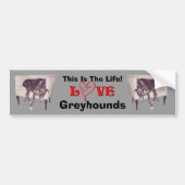 Greyhound Love This Is The Life Cute Bumpersticker (Voorkant)