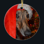 Greyhound Lurcher Kerstkerstkerst Keramisch Ornament<br><div class="desc">Deze zichthonden zijn bekend om hun elegantie en deze prachtige gevlochten hond ziet er grappig uit: dit pet van xmas. Als je van honden houdt, doe je dit kerstcadeauidee met een grappige hond in een kerstpet. Dit is onze hondje Murphy, een reddingshond en heeft nu een prachtig duister leven met...</div>