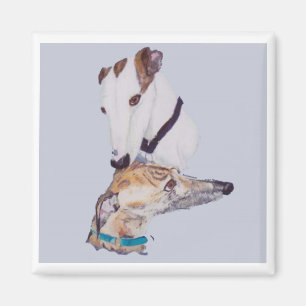 Greyhound magnet
