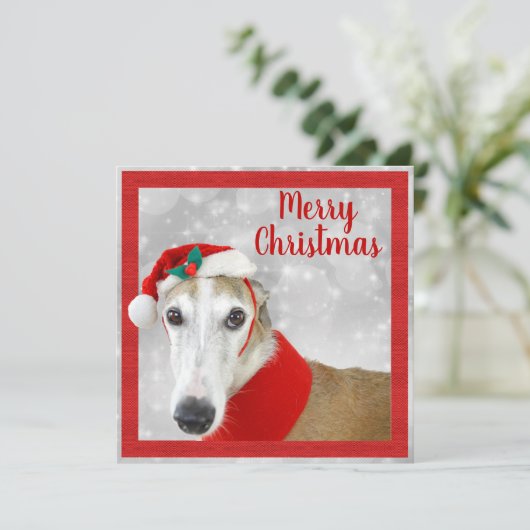 Greyhound Merry Kerstmis (Staand voorkant)