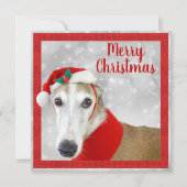 Greyhound Merry Kerstmis (Voorkant)