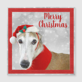 Greyhound Merry Kerstmis