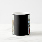 Greyhound Mok (Center)