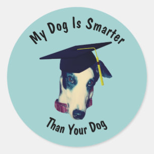 Greyhound My Dog slimmer dan je hond grappig Ronde Sticker