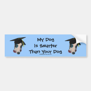 Greyhound My Dog Smarter dan Funny Bumpersticker