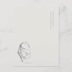 Greyhound- Naturalist Menagerie Archief Briefkaart