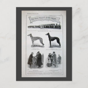 Greyhound News Knippen Briefkaart
