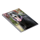 Greyhound notitieboek (Rechterzijde)