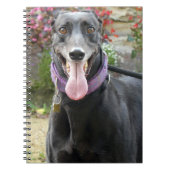 Greyhound notitieboek (Voorkant)