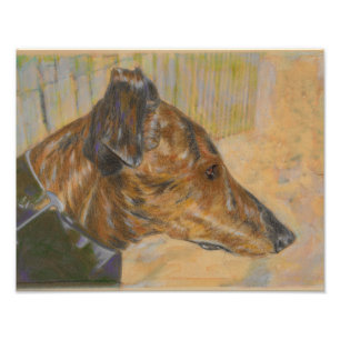 Greyhound op het strand foto afdruk