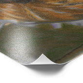 Greyhound op het strand foto afdruk (Hoek)