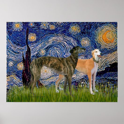 Greyhound Paar - Sterrennacht Poster (Voorkant)