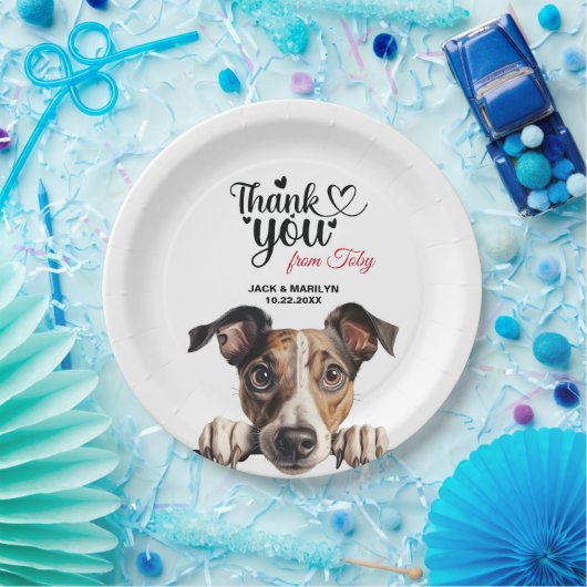 Greyhound Papieren Bordje (Feest)