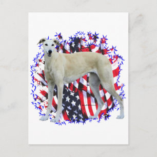 Greyhound Patriot Briefkaart