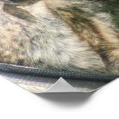 Greyhound poster (Hoek)