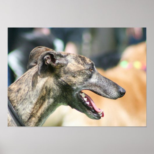 Greyhound poster (Voorkant)