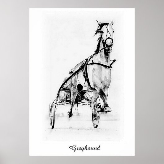 Greyhound Poster (Voorkant)