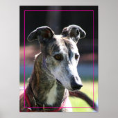 Greyhound poster (Voorkant)