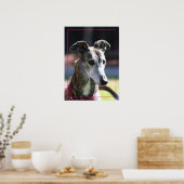 Greyhound poster (Keuken)