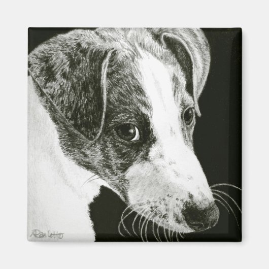 Greyhound Pup Magnet - "Paddy" (Voorkant)