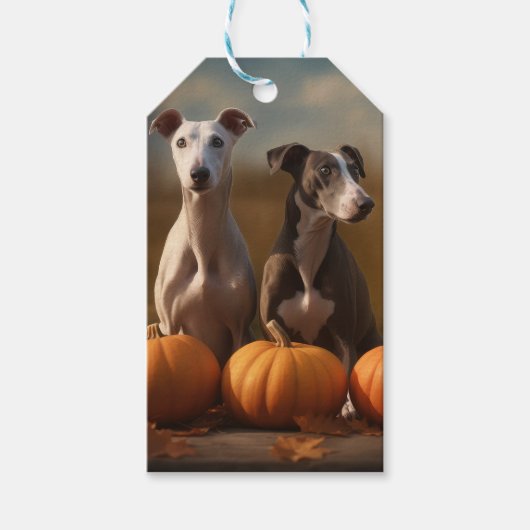 Greyhound Puppy Herfst Delight Pompoen Cadeaulabel (Voorkant)