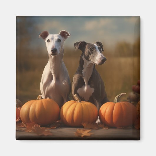 Greyhound Puppy Herfst Delight Pompoen Magneet (Voorkant)