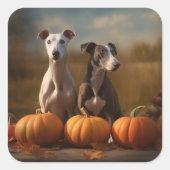 Greyhound Puppy Herfst Delight Pompoen Vierkante Sticker (Voorkant)