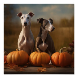 Greyhound Puppy Herfstpracht Pompoen Perfect Poster