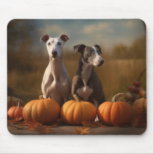 Greyhound Puppy Herfstvreugd Pompoen Muismat