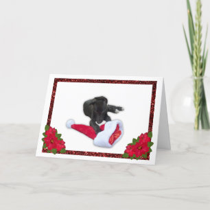 Greyhound Puppy met kerstkerstkerstkerstkerstkerst Feestdagen Kaart