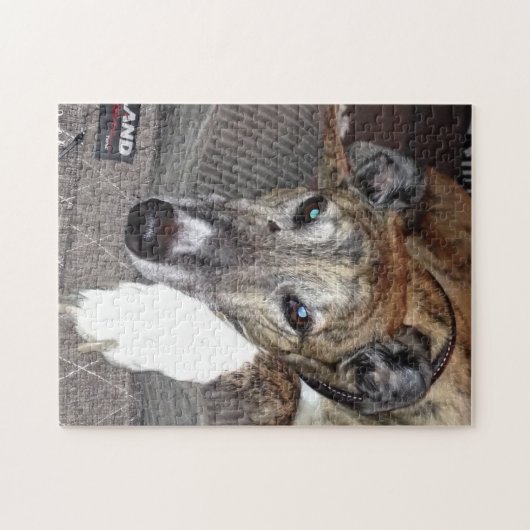 Greyhound Puzzle Legpuzzel (Horizontaal)