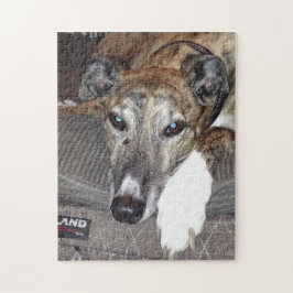 Greyhound Puzzle Legpuzzel
