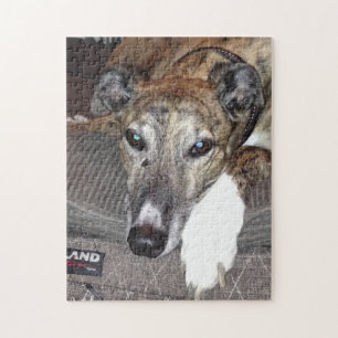 Greyhound Puzzle Legpuzzel