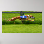 Greyhound Racing Poster (Voorkant)