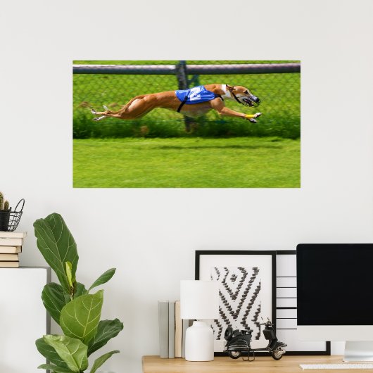 Greyhound Racing Poster (Thuiskantoor)