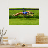 Greyhound Racing Poster (Keuken)