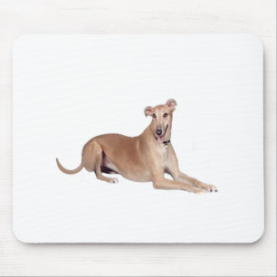 Greyhound (reebruin, liggend) muismat