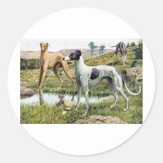 Greyhound Ronde Sticker (Voorkant)