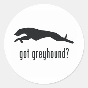 Greyhound Ronde Sticker