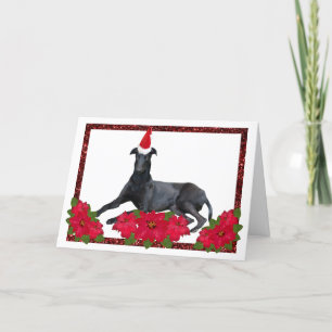 Greyhound Santa Hat Kerstmis Poinsettia  Feestdagen Kaart